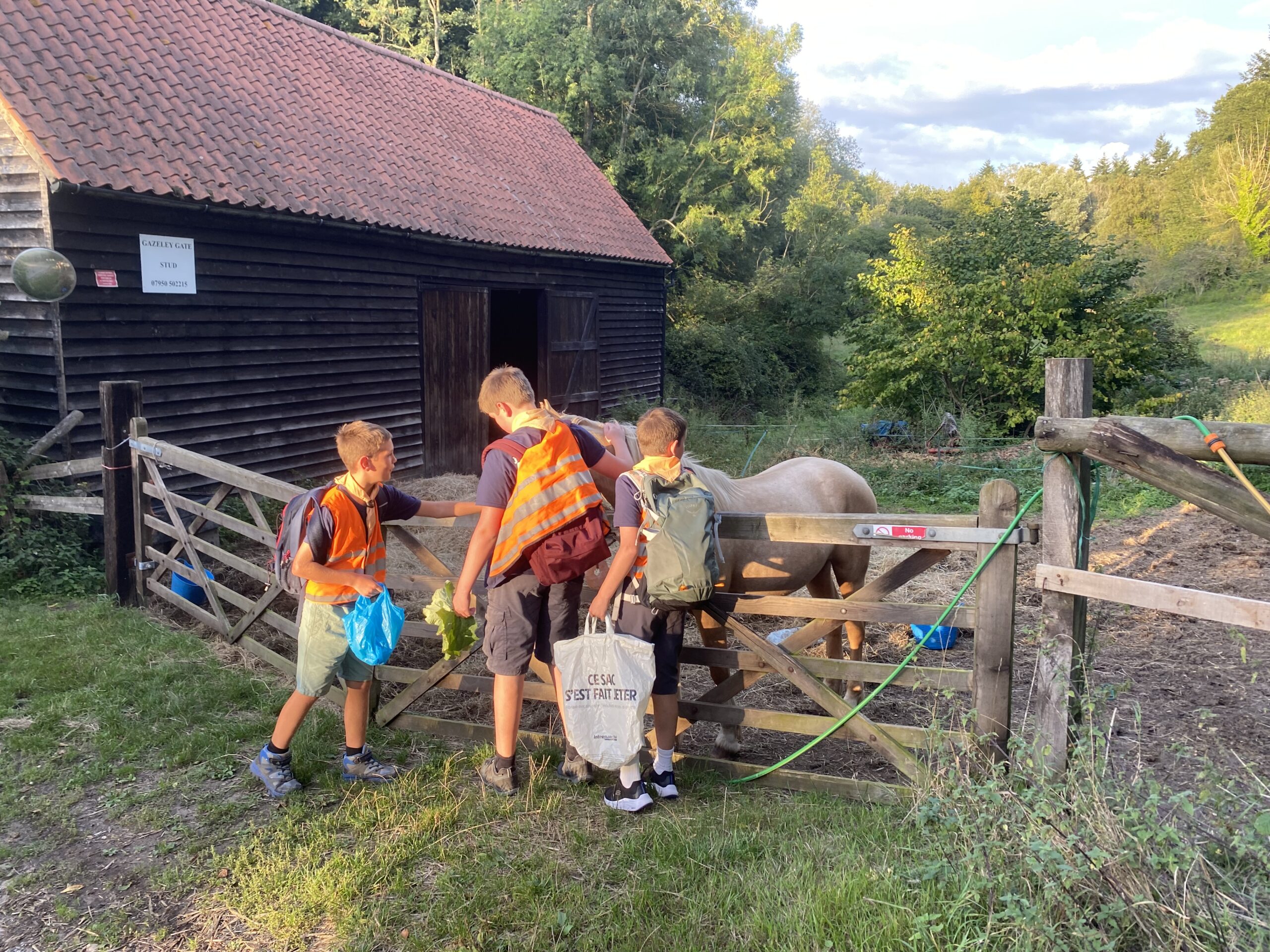 Autumn/Winter Term – Sept-Dec 2025